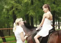 6 Crucial Steps to Regaining your Confidence in Horse Riding