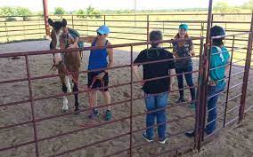 Equine Specialists or Support Groups 
