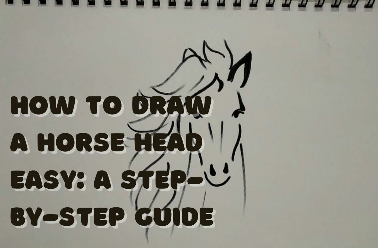 How to Draw a Horse Head Easy: A Step-by-Step Guide - AnimalFYI