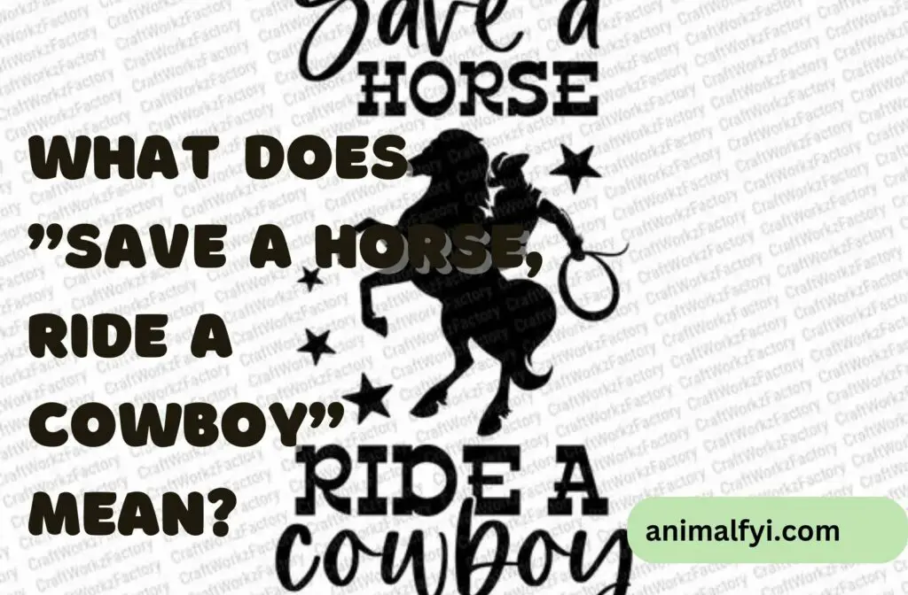 what-does-save-a-horse-ride-a-cowboy-mean-animalfyi